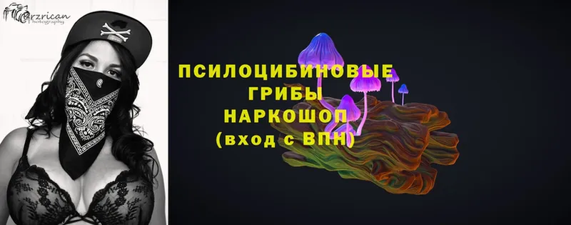 Псилоцибиновые грибы MAGIC MUSHROOMS  купить  сайты  KRAKEN ССЫЛКА  Всеволожск 